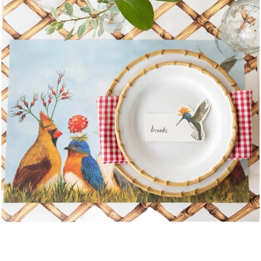 Hester & Cook 24 paper Placemats “Angie’s Party”